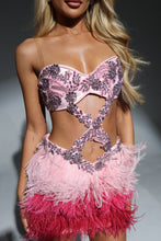 Load image into Gallery viewer, The BIANCA Dress with Luxe Baby Pink Diamonds and Ombré Feathers