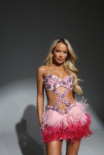 Load image into Gallery viewer, The BIANCA Dress with Luxe Baby Pink Diamonds and Ombré Feathers