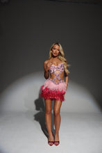 Load image into Gallery viewer, The BIANCA Dress with Luxe Baby Pink Diamonds and Ombré Feathers