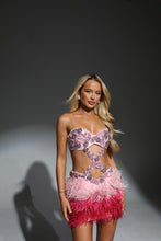 Load image into Gallery viewer, The BIANCA Dress with Luxe Baby Pink Diamonds and Ombré Feathers